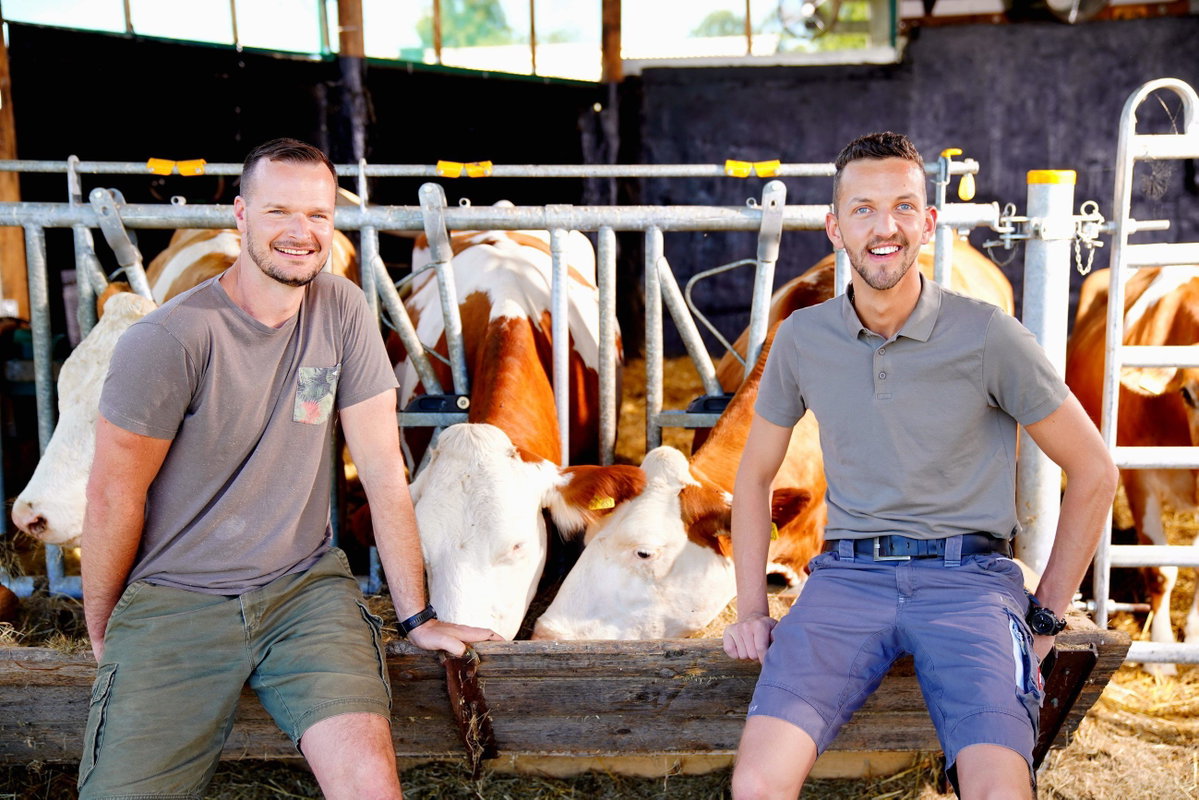 Jan Hendrik und Michael mit Kühen im Hintergrund