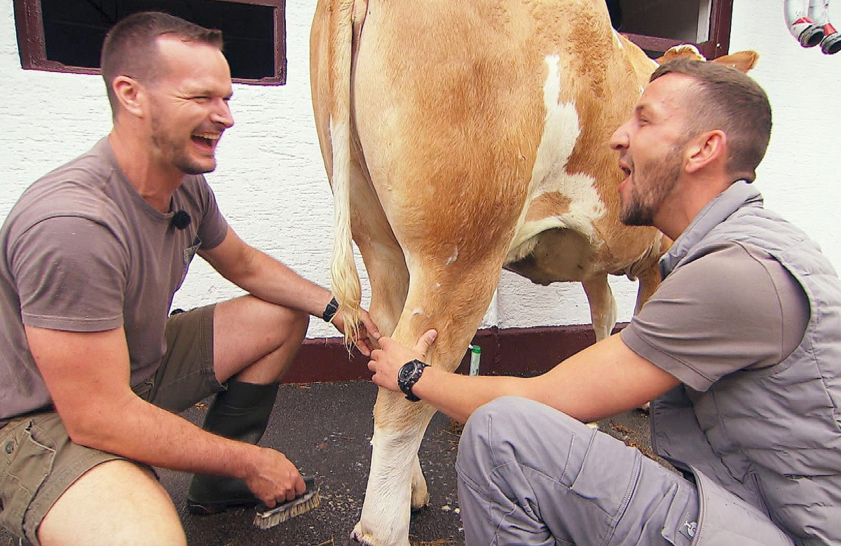 "Bauer sucht Frau" 2022 - Folge 8 - Michael und Jan Hendrik melken gemeinsam eine Kuh und lachen
