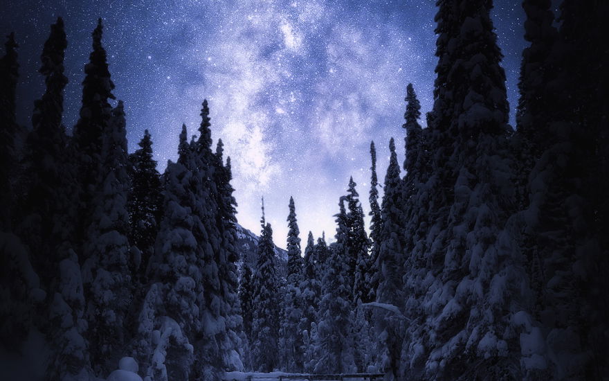 Winter Himmel Schnee Tannen