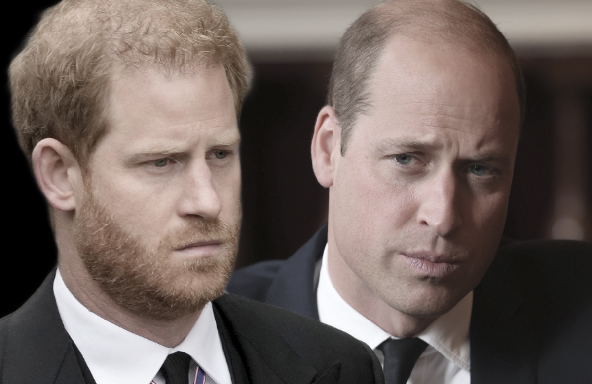 Prinz Harry und Prinz William gucken ernst