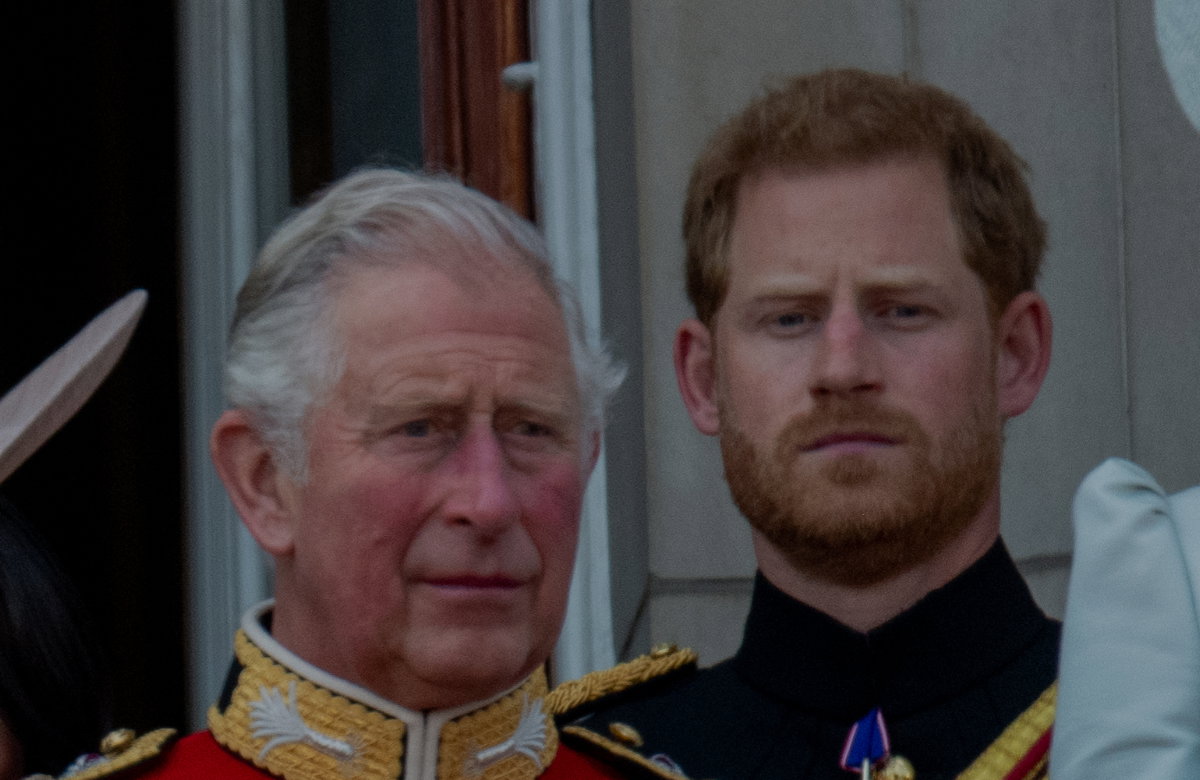 König Charles III. und Prinz Harry schauen in die Ferne.