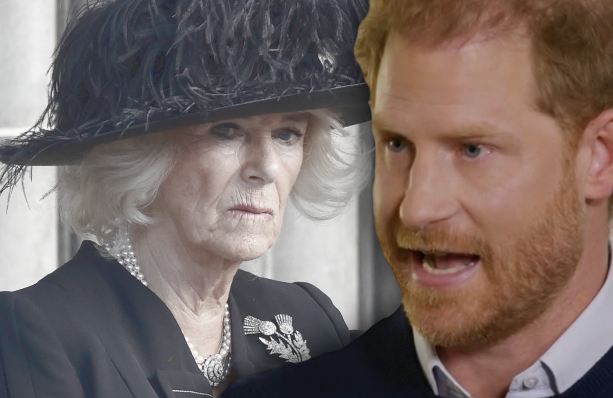 Prinz Harry beschwert sich in ITV-Interview 2023 - im Hintergrund Camilla ernst