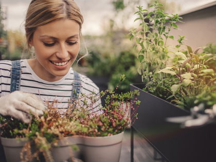 Naturheilmittel: 7 Kräuter gegen fast alle Beschwerden