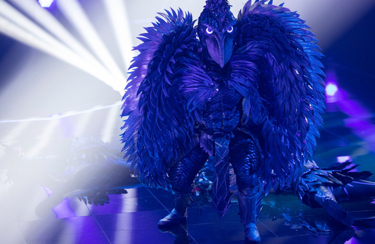 Der Schuhschnabel steht bei "The Masked Singer" auf der Bühne