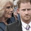 Prinz Harry: Unfassbare Vorwürfe gegen Charles & Camilla?