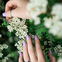 Maniko Nails im OK!-Test: Unsere Erfahrung mit dem UV-Nagellack zum Aufkleben 
