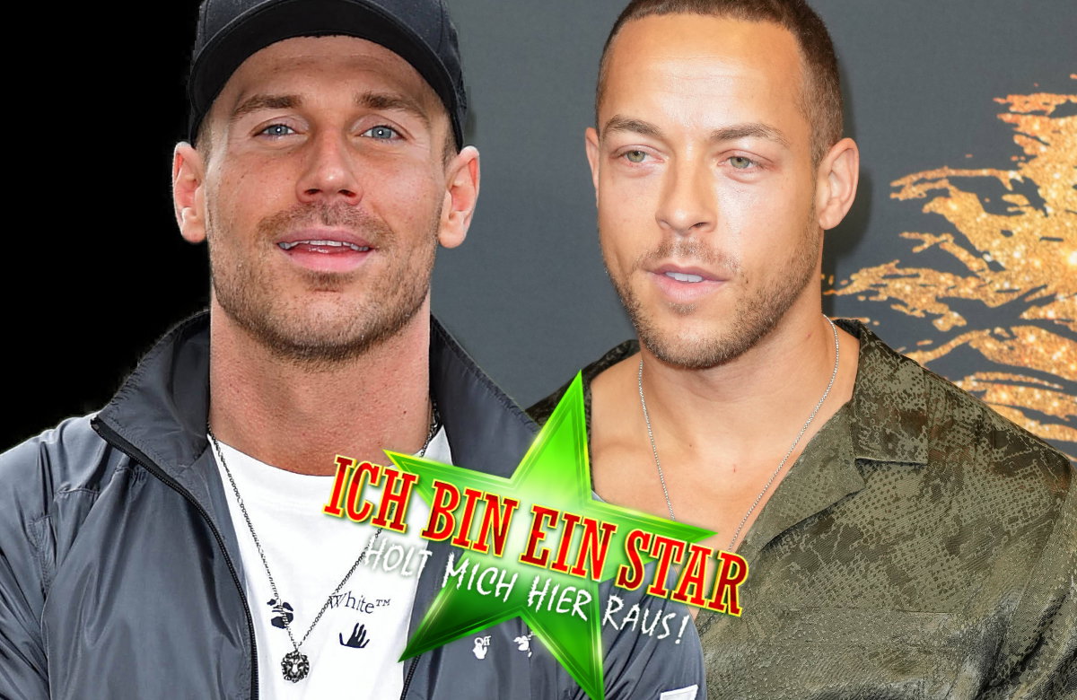 Ziehen Chris Broy und Andrej Mangold ins Dschungelcamp 2024?