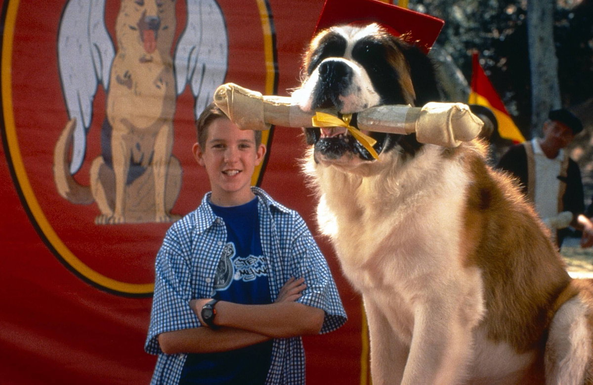 Joe Pichler im Film "Ein Hund namens Beethoven"