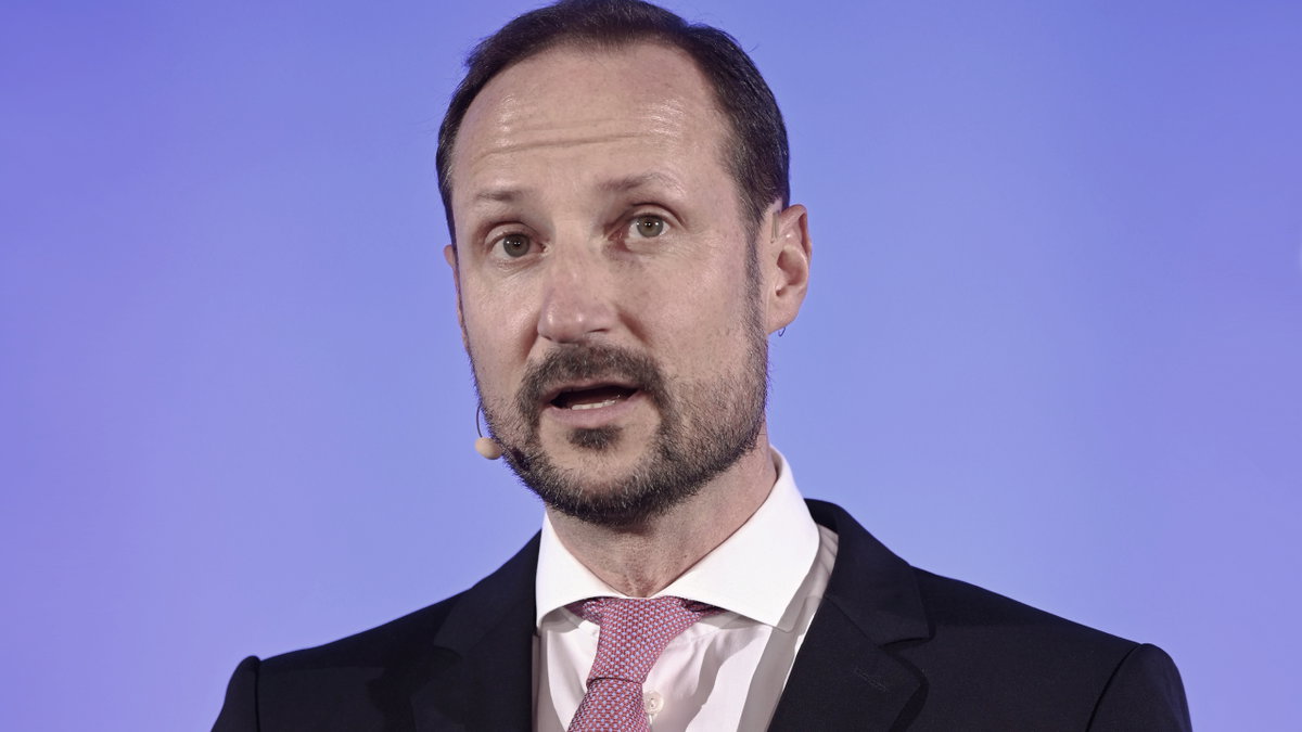 Prinz Haken redet vor Publikum