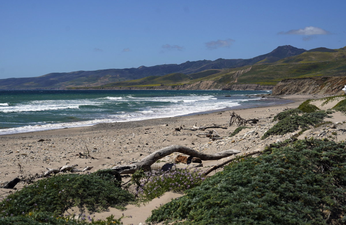 Der Strand von Santa Barbara ind den USA.