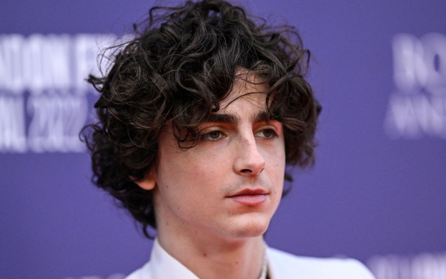 Timothee Chalamet mit Locken