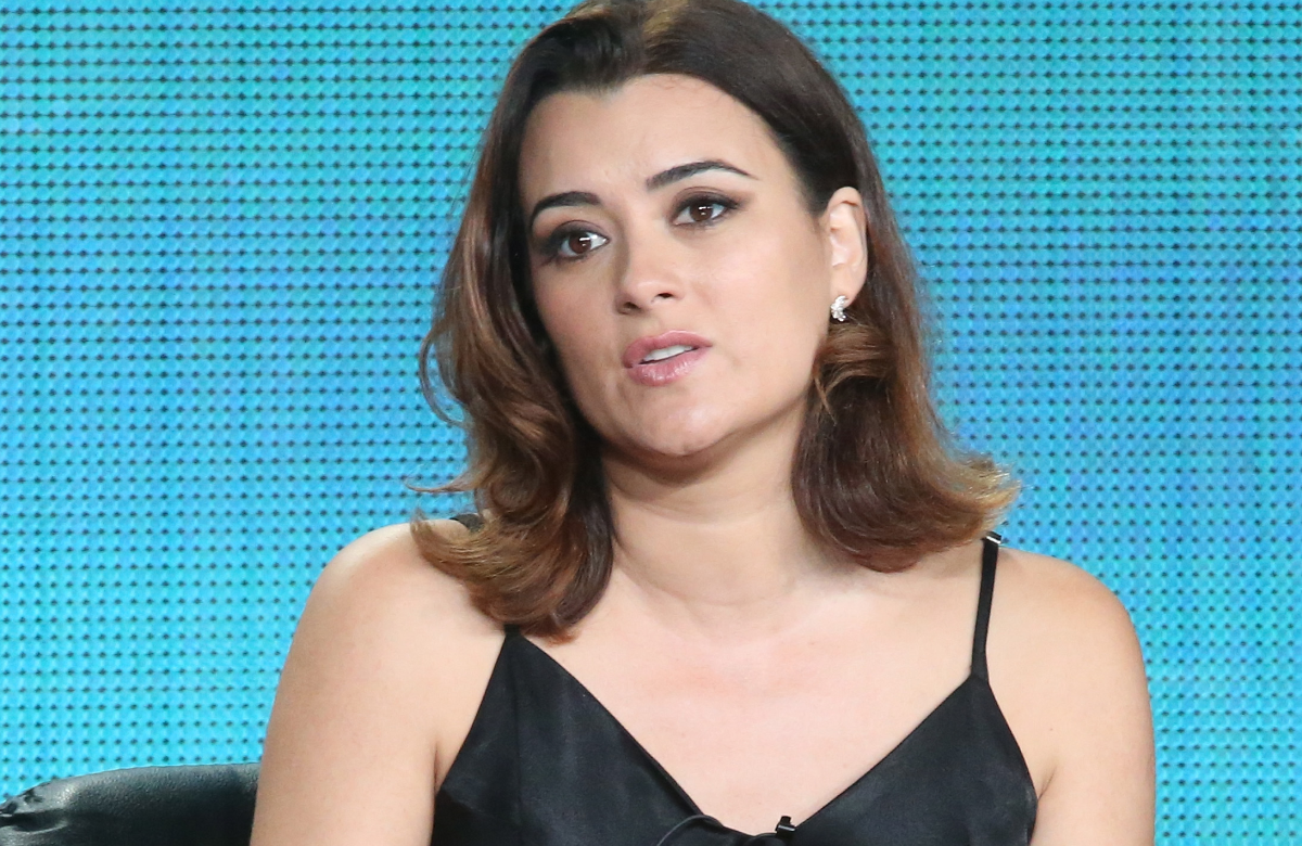"Navy CIS" Cote de Pablo ernst