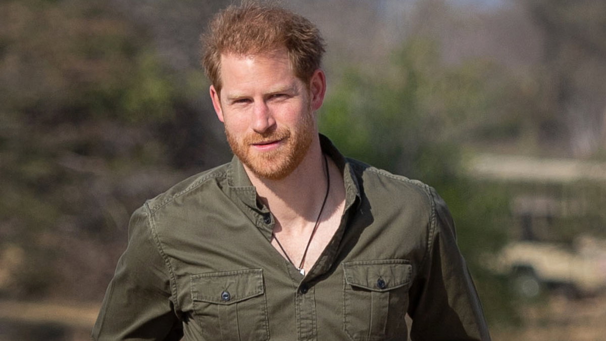 Prinz Harry in Afrika