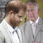 Prinz Harry: Traurige Wahrheit! Queen hoffte auf Versöhnung, während Charles "tief verbittert" ist