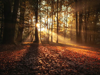 Herbstanfang am 23. September: Die schönsten Mabon-Rituale zur Tag-und-Nacht-Gleiche