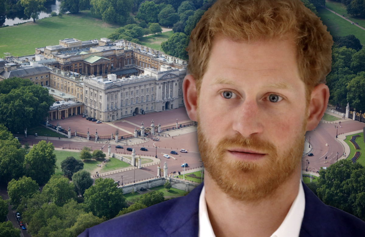 Prinz Harry erstaunt - im Hintergrund der Buckingham-Palast