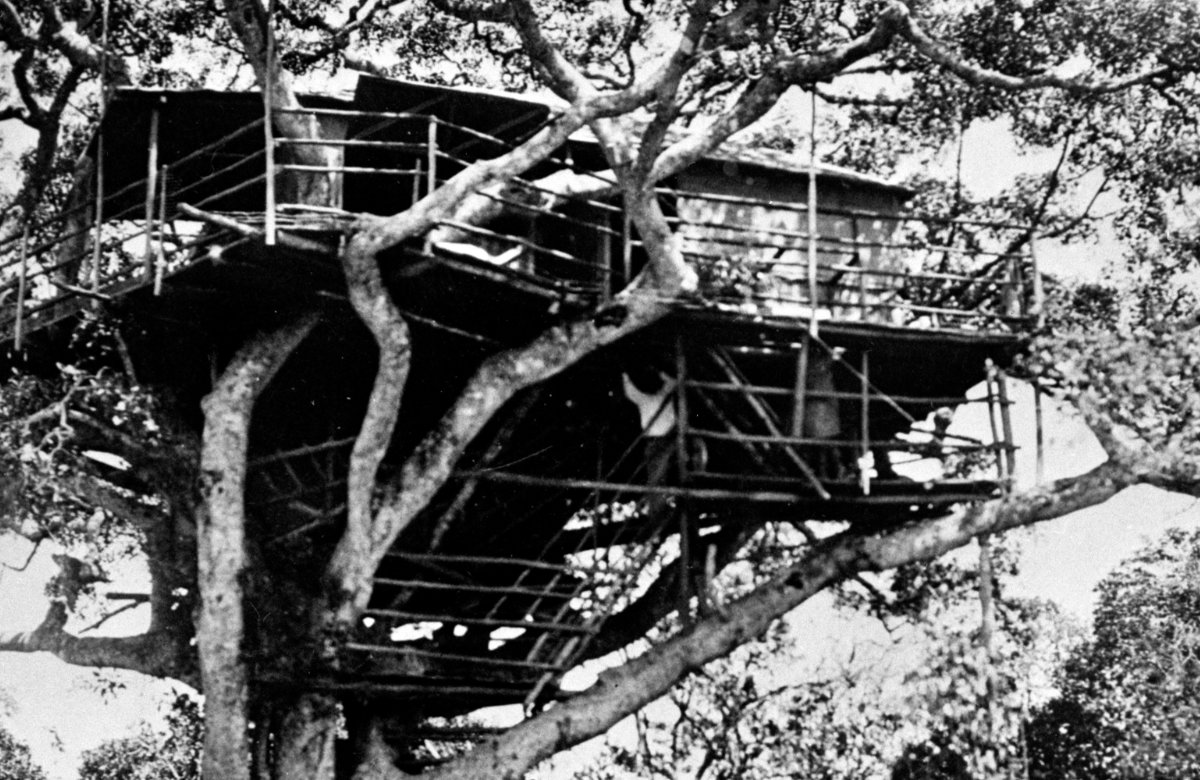Treetops Lodge in Kenia.