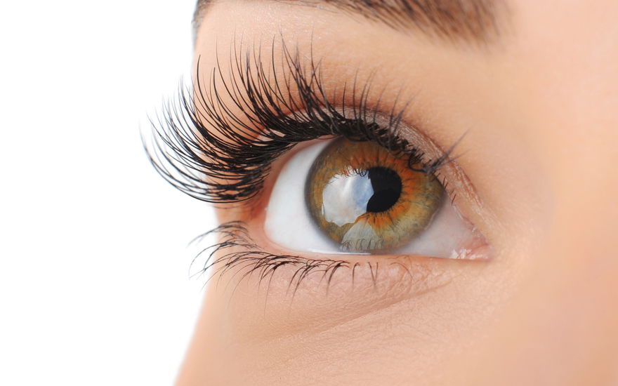 Frau Wimpernserum Rossmann