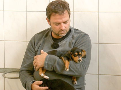 Laut "Öko-Test": Dieses Hundespielzeug empfiehlt Martin Rütter – "sehr gut"