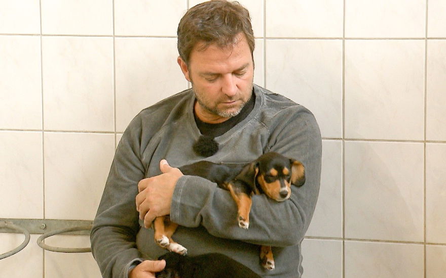 Martin Rütter und Welpen