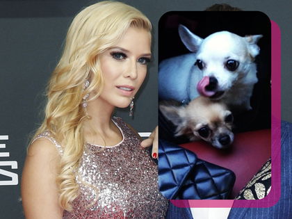 "Goodbye Deutschland"-Oksana Kolenitchenko: Wegen Weltreise - Sie gibt ihre Hunde ab