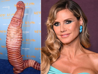Heidi Klum: Irre Enthüllung! Ihr Halloween-Look sollte zum Vibrator werden