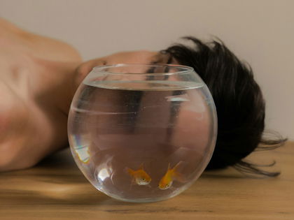 Laut Horoskop: Welche Sternzeichen passen zu Fische?