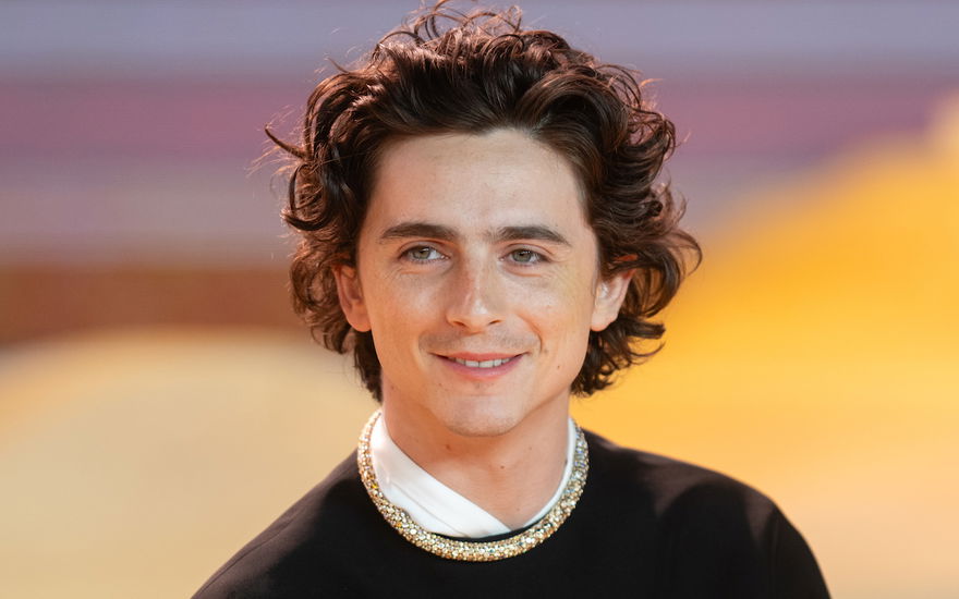 Timothée Chalamet bei der Premiere von Dune