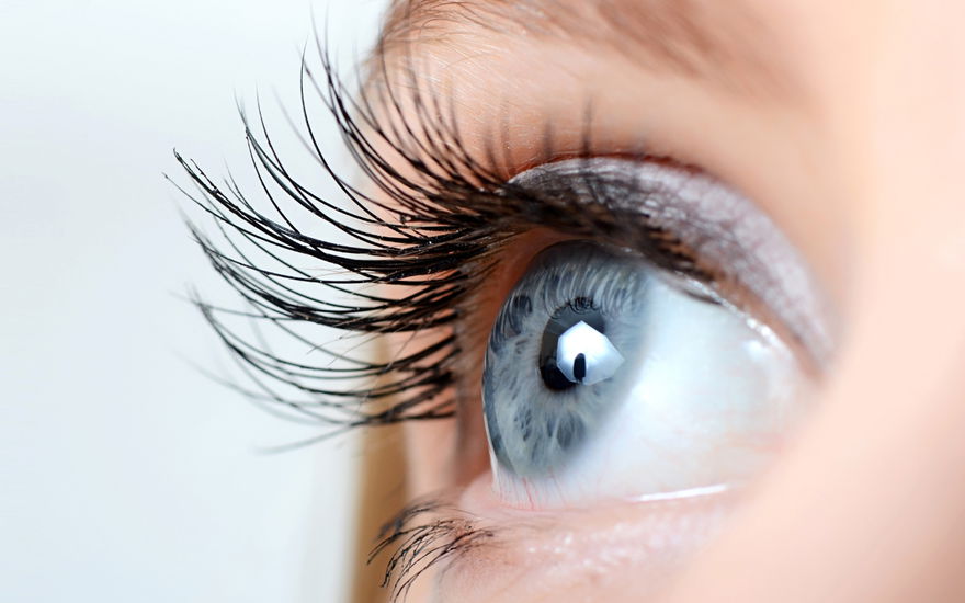 Wimpernserum Naturkosmetik