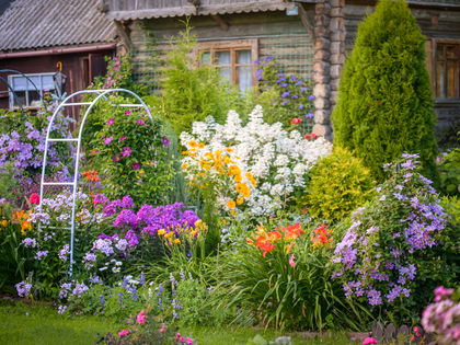 Die schönsten Dauerblüher für Balkon & Garten