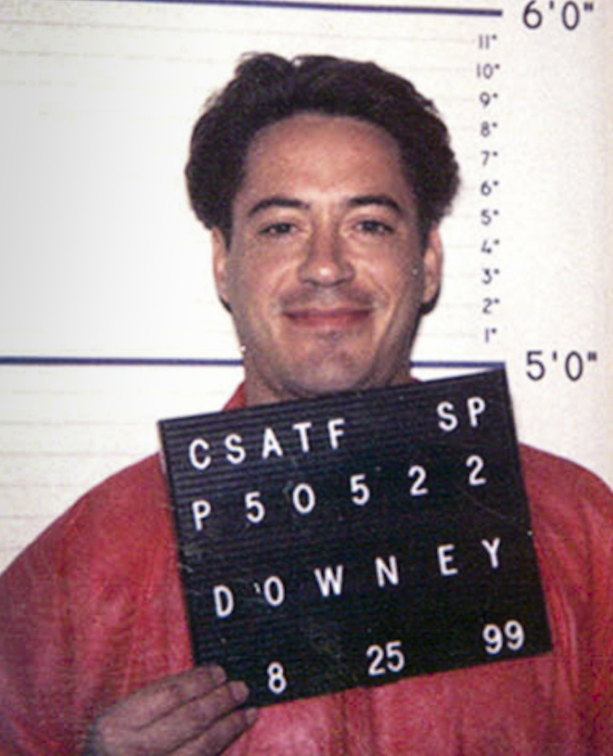 Robert Downey Jr, Mugshot