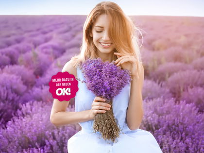 Lavendel-Power: Die Geheimwaffe gegen Stress, Angst und Kopfweh