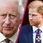 Prinz Harry: "Ich bin nicht Harrys Vater" - Wahrheit über seine Herkunft enthüllt