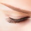 Beauty-Trend 2024: Dieses Wimpernserum ist bei Douglas sehr beliebt