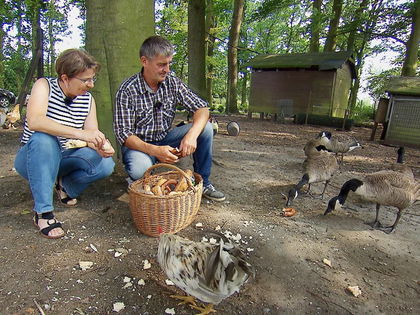 "Bauer sucht Frau": "Verlies" - Bittere Kritik an Konny - dessen Antwort wirft Fragen auf