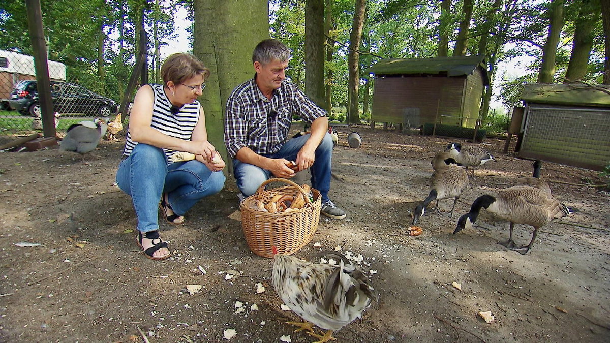 "Bauer sucht Frau" 2024: Konrad und Doris füttern Gänse
