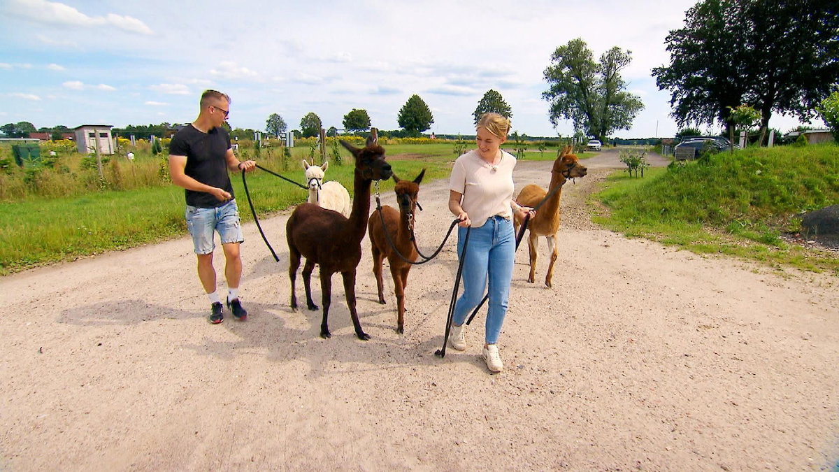 "Bauer sucht Frau" 2024: Saskia und Hofmann Martin mit den Alpakas