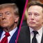 Donald Trump & Elon Musk: Männer-Freundschaft in Gefahr? Zoff hinter den Kulissen