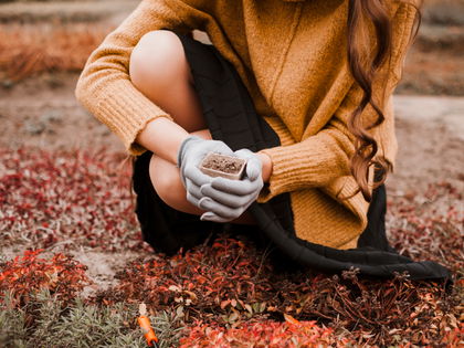 Wohlbefinden im Herbst: Gartenarbeit für mehr Achtsamkeit