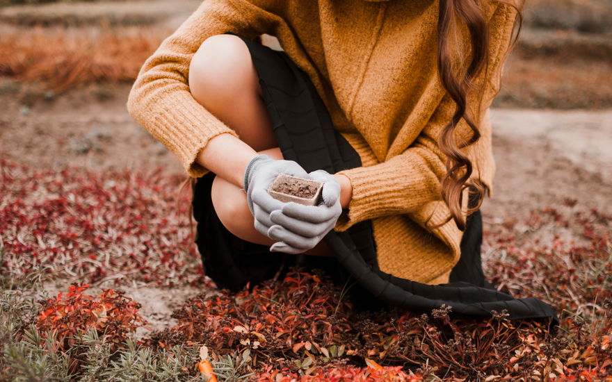 Wohlbefinden im Herbst: Gartenarbeit für mehr Achtsamkeit