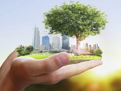 Green Living: Die besten Tipps, um umweltbewusster zu leben