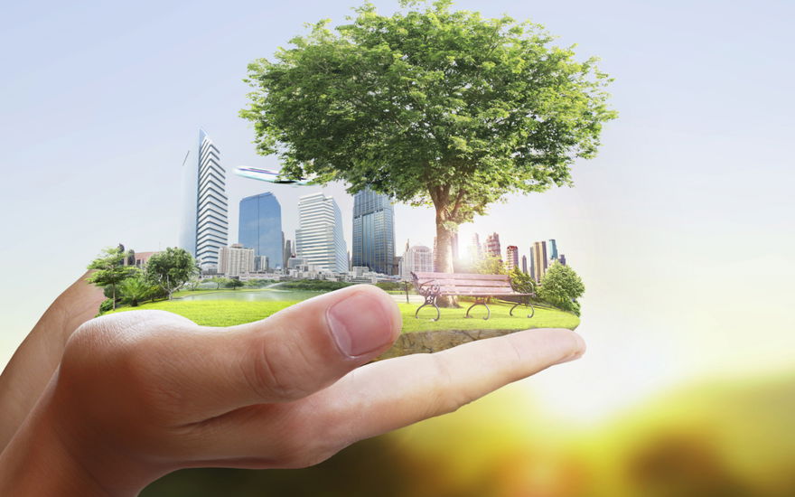 Green Living: Die besten Tipps, um umweltbewusster zu leben