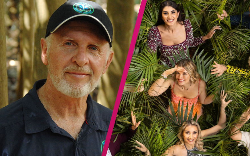 Collage Dr. Bob und Dschungelcamp Kandidatinnen