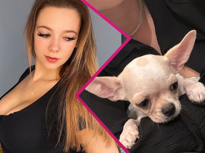 Anne Wünsche: Heftige Kritik für spontanen Hundekauf – "Das war keine Rettung"