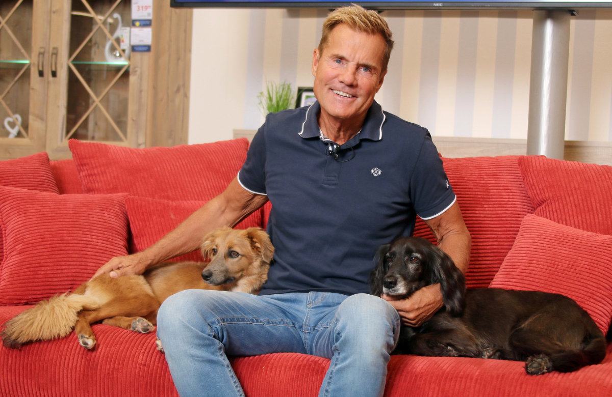 Dieter Bohlen mit HUnden auf Sofa