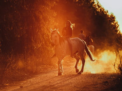 Reiturlaub in Andalusien: Die besten Routen und Tipps für ein unvergessliches Erlebnis