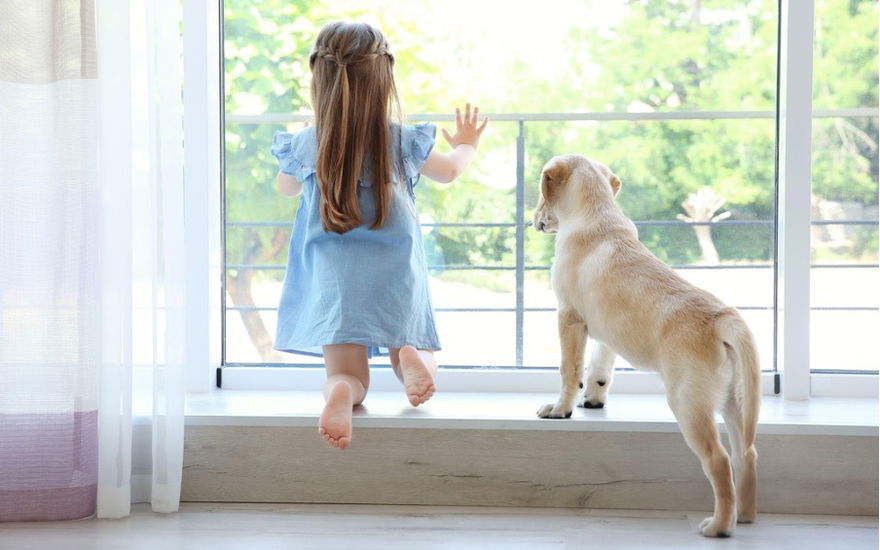 Ein Kind und ein Hund sitzen vor dem Fenster