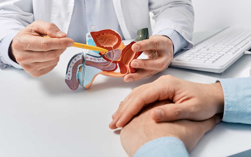 Ein Arzt erklärt einem Patienten die Prostatavergrößerung