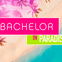 "Bachelor in Paradise": Diese Männer sind dabei – Sogar ein Ex-Bachelor!
