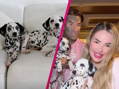 Kim Virginia Hartung: "Bis die zwei wieder abgegeben werden" – Fans wütend über Hunde-Adoption